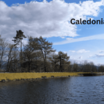 Caledonian Travel