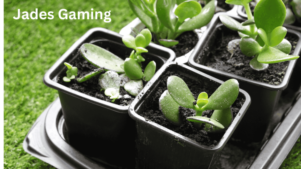 Jades Gaming